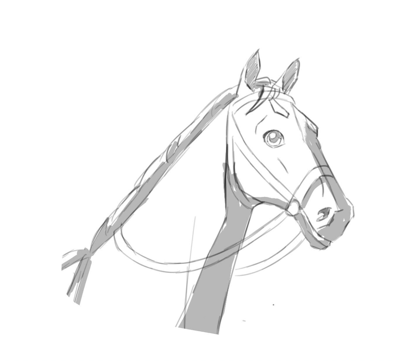 Horse head sketch