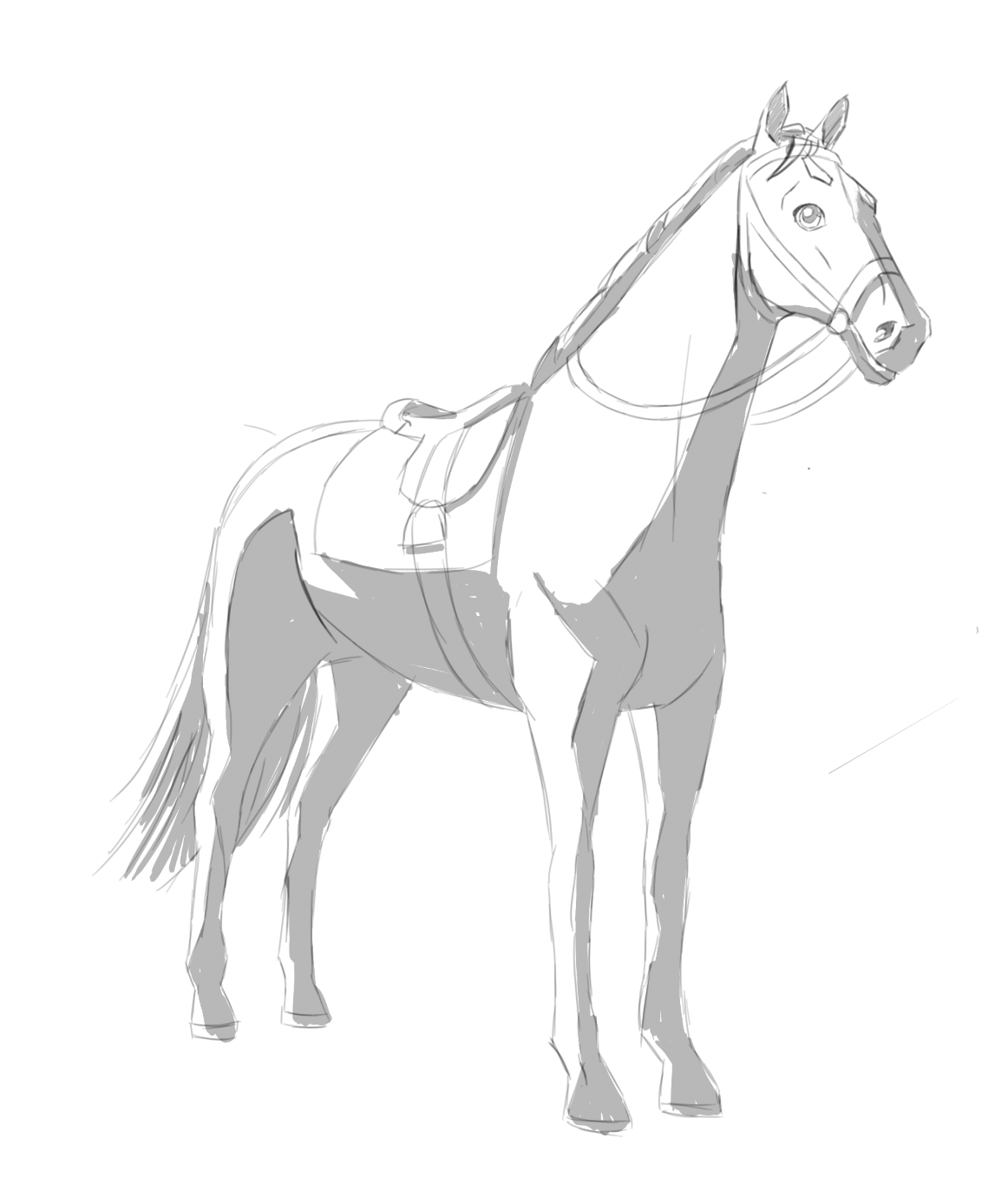 Horse body sketch