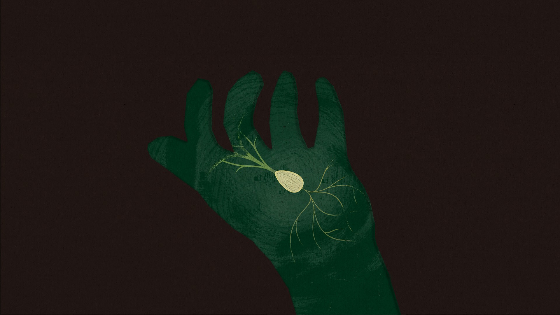 Green hand holding seed