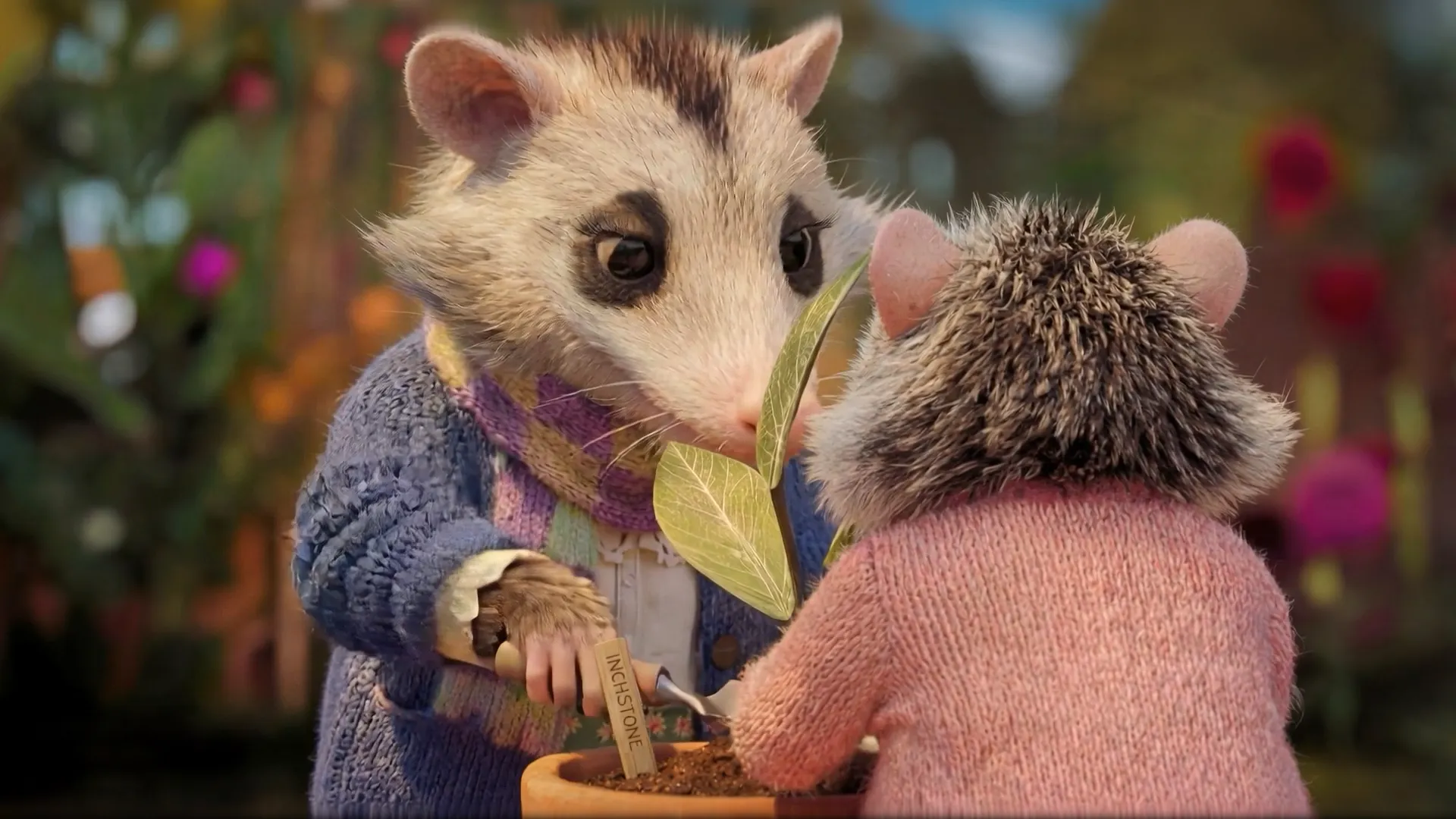 TV commercial